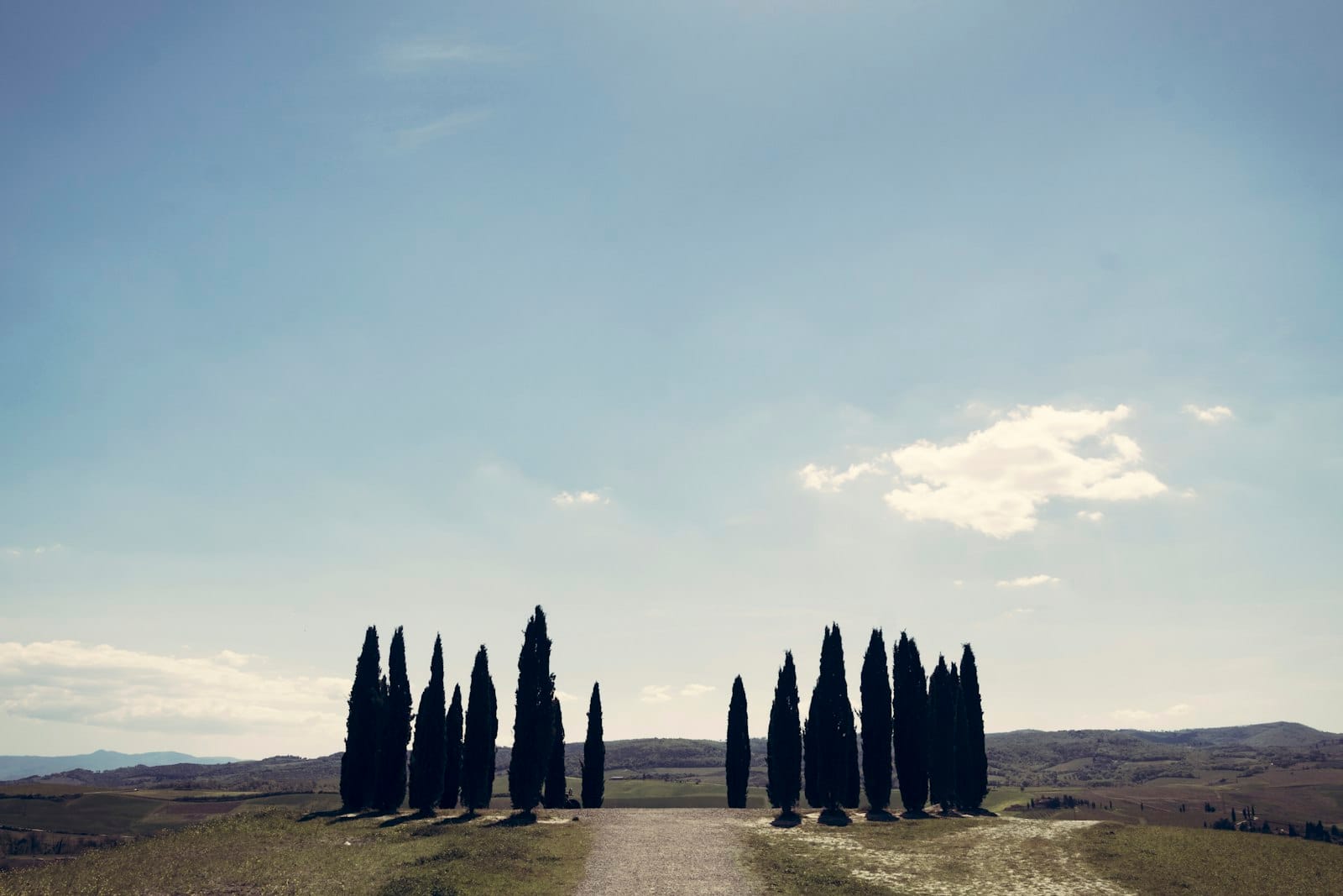 Il sentiero tra i ciliegi